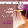 Charles Baudelaire, Les Fleurs du mal Charles Baudelaire, Les Fleurs du mal